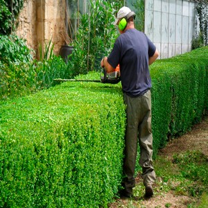 irrigação de jardim