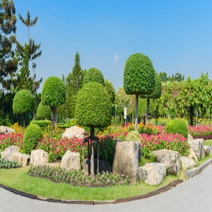 manutenção de jardim